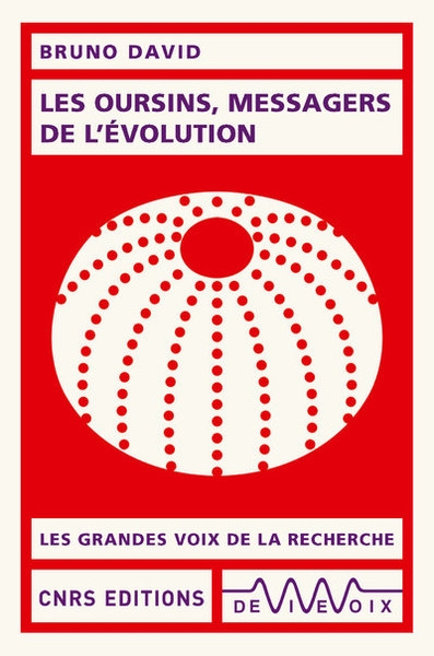 Les oursins, messagers de l'évolution - Image principale
