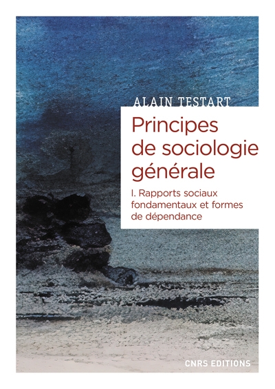 Principes de sociologie générale - volume 01 rapports sociaux fondamentaux et formes de dépendance - Image principale