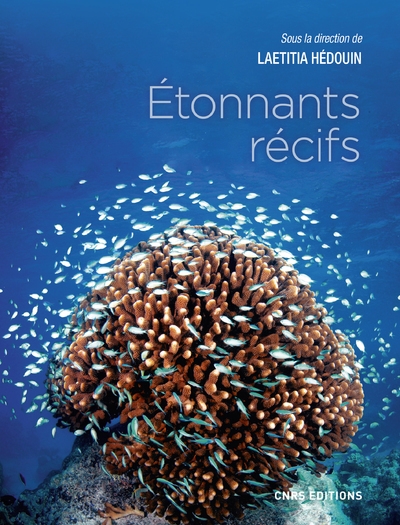 Etonnants récifs. les écosystèmes coralliens - Image principale