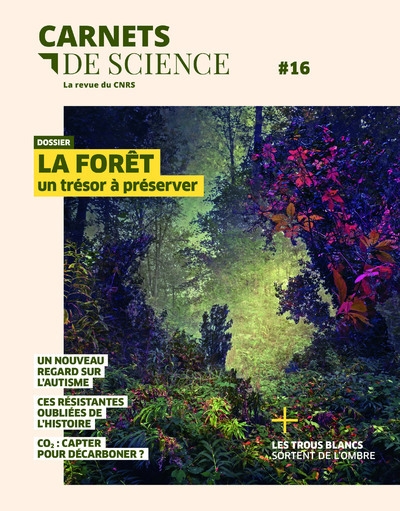 Carnets de science - n° 16 dossier : la forêt un trésor à préserver - Image principale