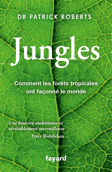 Jungles - Image principale