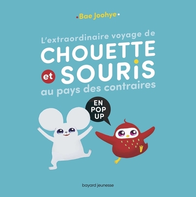L'extraordinaire voyage de chouette et souris au pays des contraires - Image principale