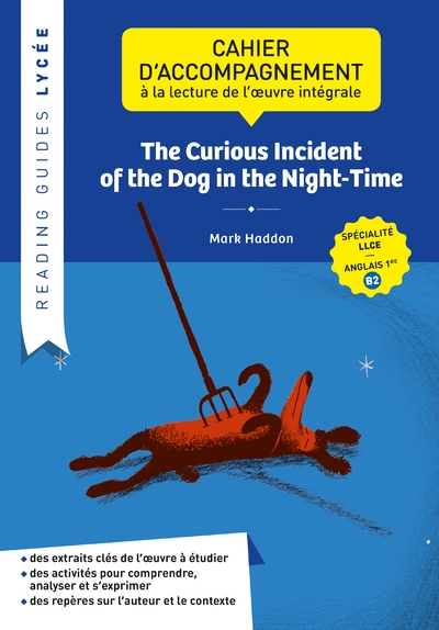 Reading guide - the curious incident of the dog in the night-time - Image principale