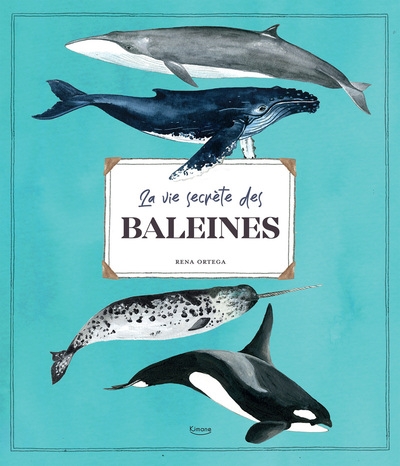 La vie secrète des baleines - Image principale