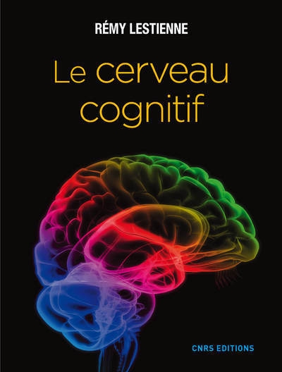 Le cerveau cognitif - Image principale