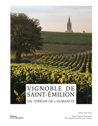 Vignoble de saint-émilion - Image principale