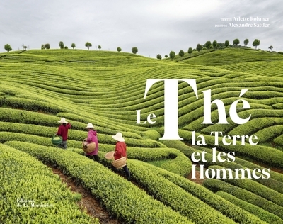 Le thé, la terre et les hommes - Image principale