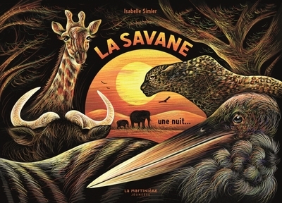 La savane, une nuit... - Image principale