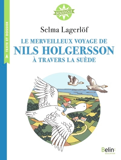 Le merveilleux voyage de nils holgersson à travers la suède - Image principale