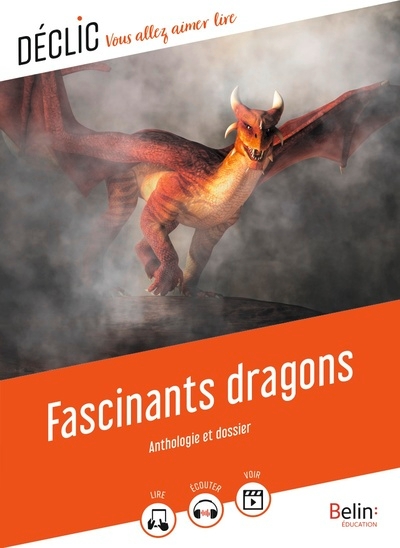 Fascinants dragons - Image principale