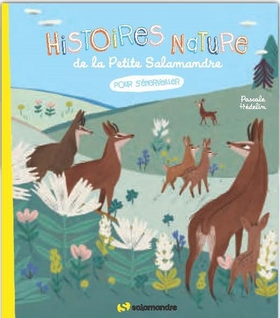 Histoires nature de la petite salamandre - pour s'émerveiller - Image principale