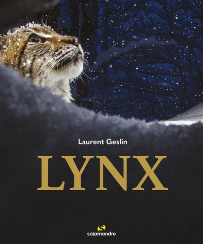 Lynx - Image principale