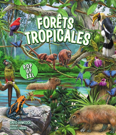 Forêts tropicales - pop-up xxl - Image principale