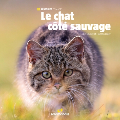 Le chat côté sauvage - Image principale