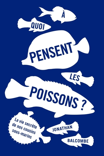 À quoi pensent les poissons - Image principale