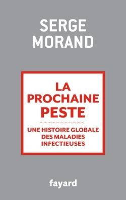 main product