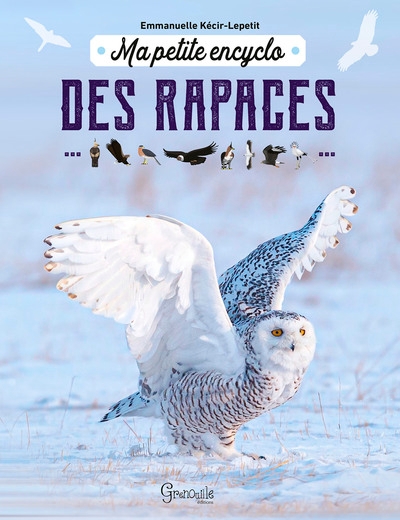 Ma petite encyclo des rapaces - Image principale