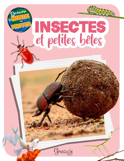 Insectes et petites bêtes - Image principale