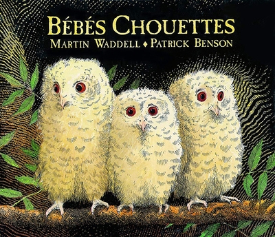 Bébés chouettes - Image principale