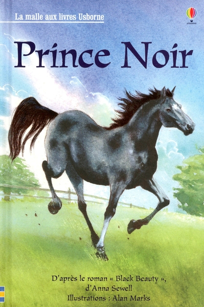 Prince noir - la malle aux livres niveau 3 - Image principale
