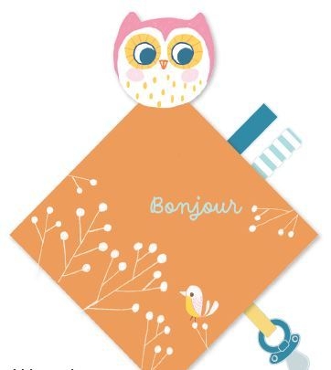 Mon doudou pour le dodo petit hibou - Image principale