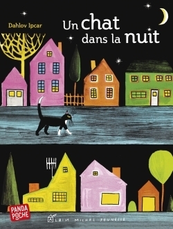 Un chat dans la nuit (panda poche) - Image principale