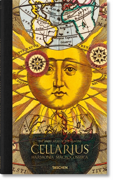 Cellarius atlas - Image principale