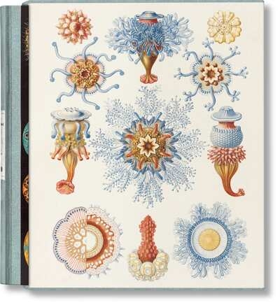 The art and science of ernst haeckel - Image principale