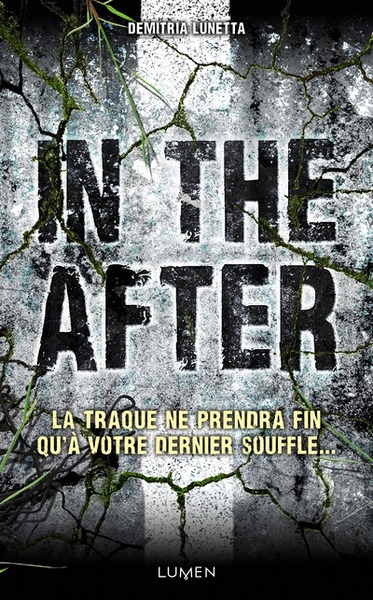 In the after - Image principale