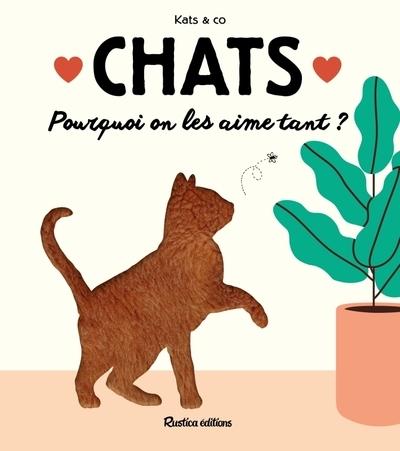 Chats - Image principale