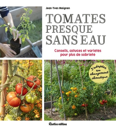 Tomates presque sans eau - Image principale