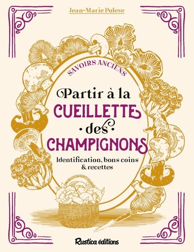 Partir à la cueillette des champignons - Image principale