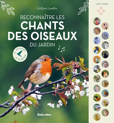 Reconnaître les chants des oiseaux du jardin - Image principale