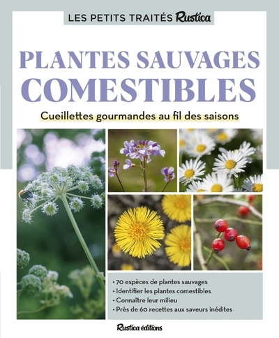 Le petit traité rustica des plantes sauvages comestibles - Image principale