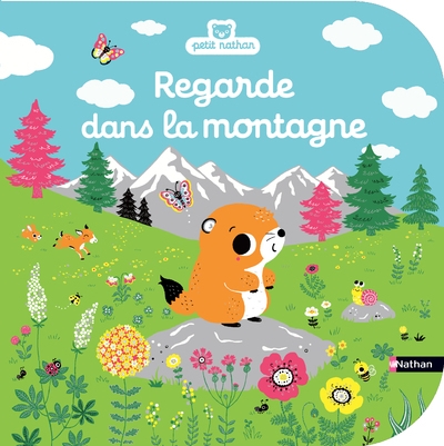 Regarde dans la montagne - Image principale
