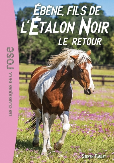 L'étalon noir 23 - ébène, fils de l'étalon noir - le retour - Image principale