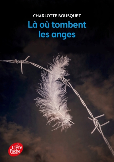 Là où tombent les anges - Image principale