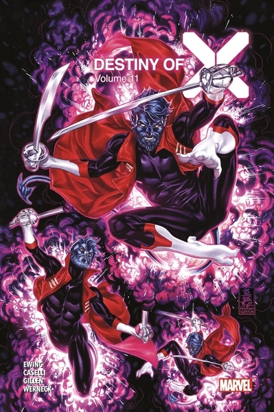 Destiny of x t11 (edition collector) - compte ferme - Image principale