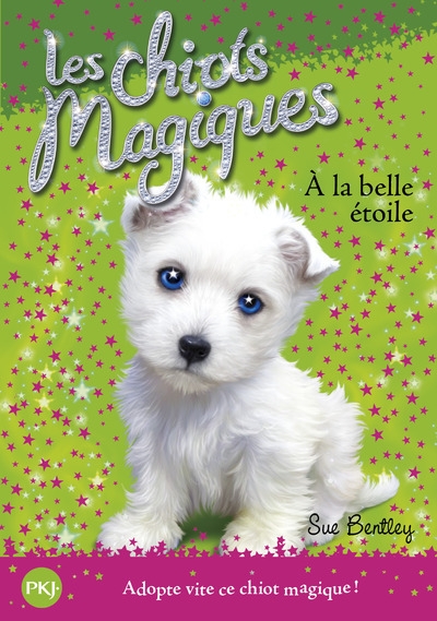 Les chiots magiques - numéro 06 à la belle étoile - Image principale