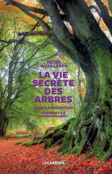 La vie secrète des arbres - Image principale