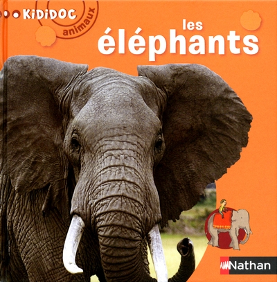 Numéro 6 les eléphants - kididoc animaux - Image principale