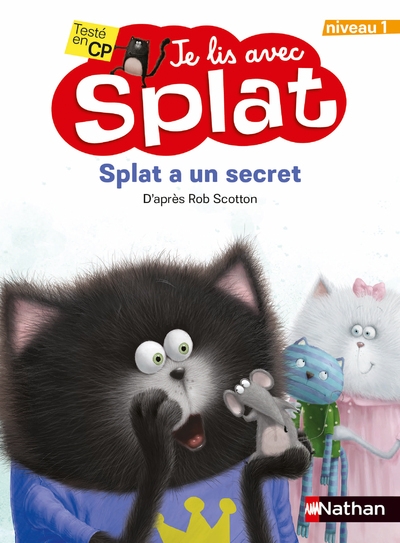 Splat a un secret - Image principale