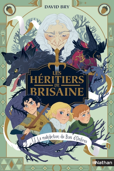 Les héritiers de brisaine - tome 1 la malédiction du bois d'ombres - Image principale
