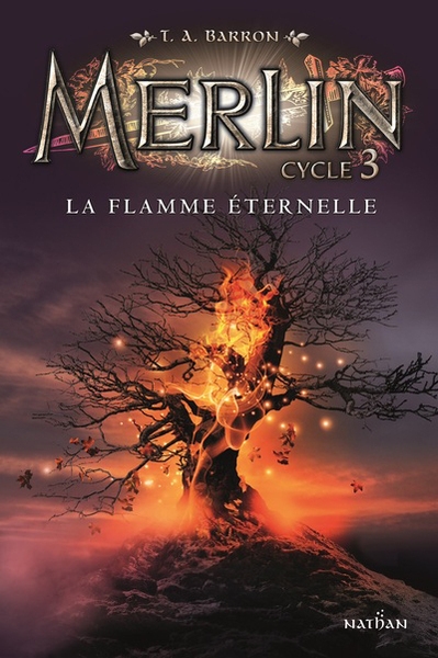 Merlin cycle 3 - tome 3 la flamme éternelle - Image principale