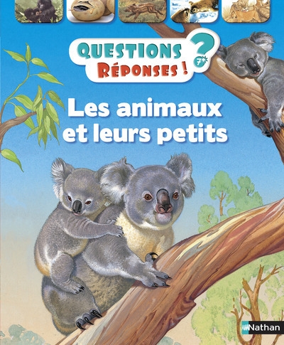 Les animaux et leurs petits - Image principale