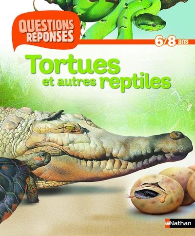 N10 - tortues et autres reptiles - questions/reponses 6/8 ans - Image principale
