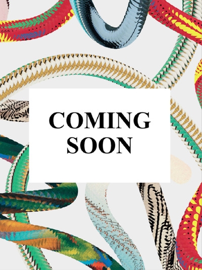 France 1900. 45th ed - Image principale