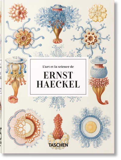L’art et la science de ernst haeckel - Image principale
