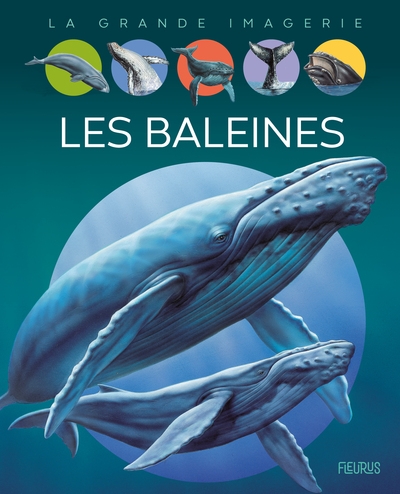 Les baleines - Image principale