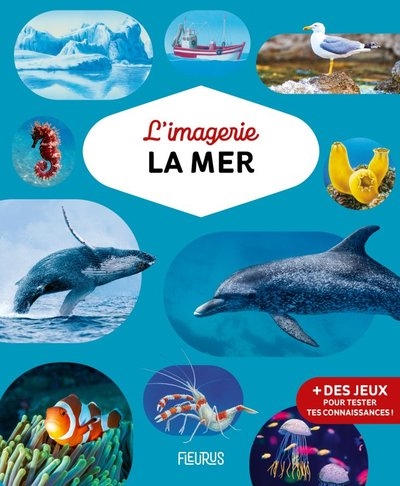 L'imagerie - la mer - Image principale